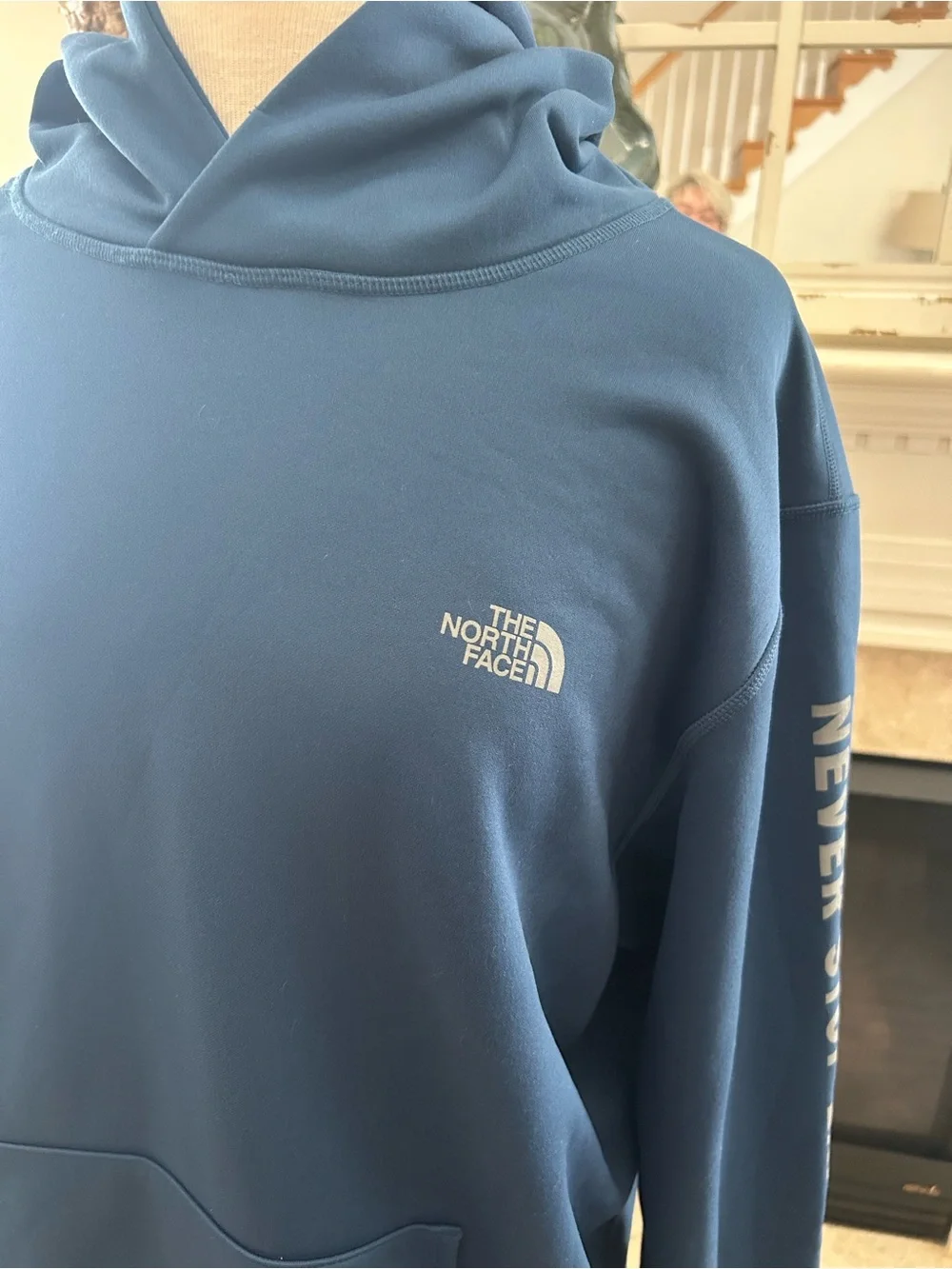 The North Face Men's Navy Pullover Hoodie - Never Stop Exploring